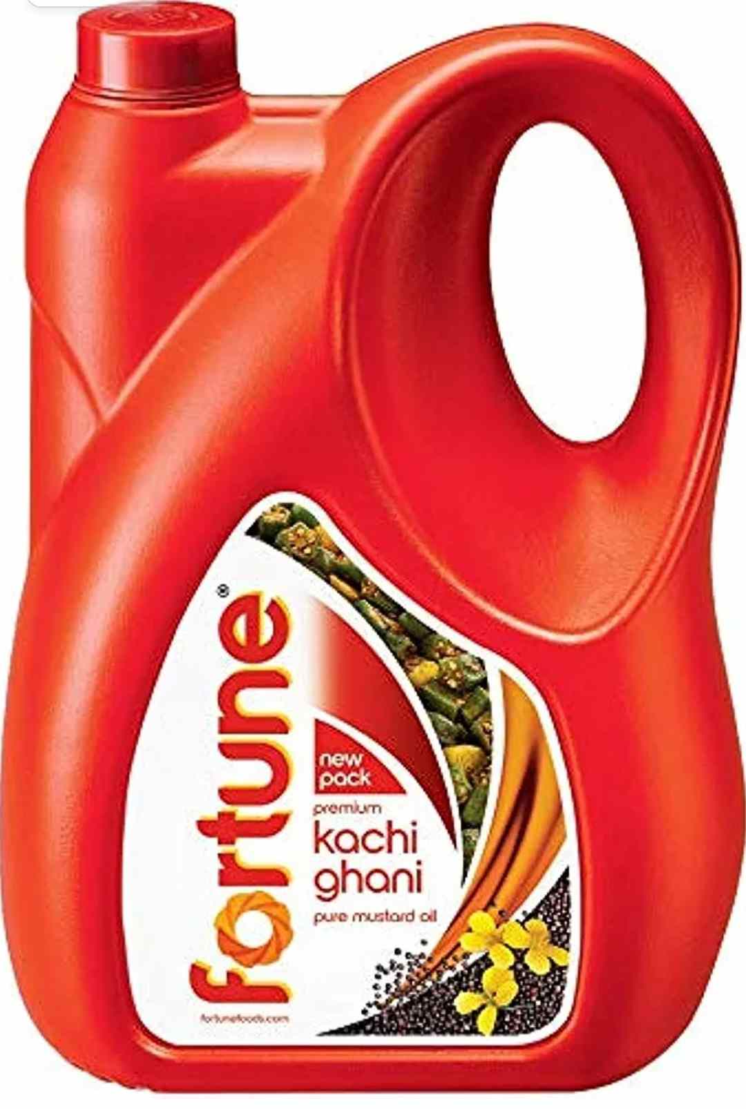 Fortune Kachi Ghani